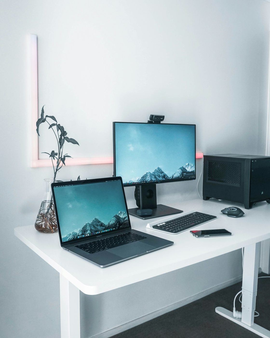 Monitors & Displays